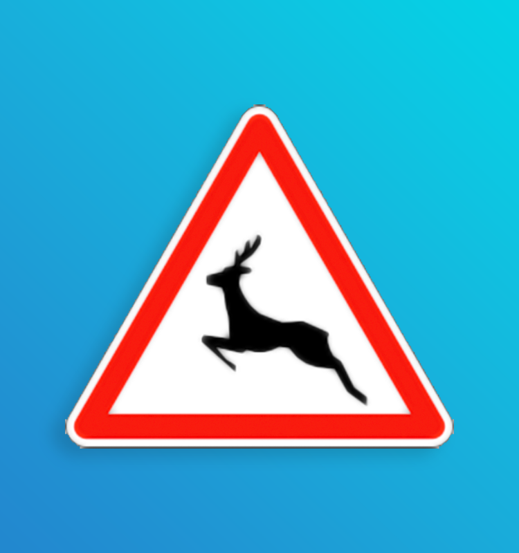 Passage d'animaux sauvages - A15b